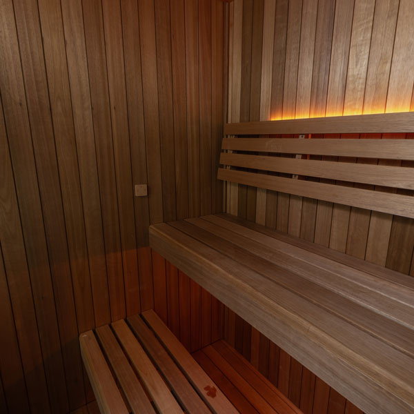 CT Element Indoor Electric Sauna